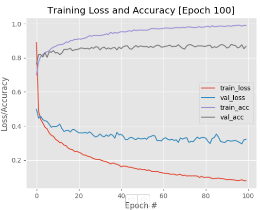 Binary Classification Experiment